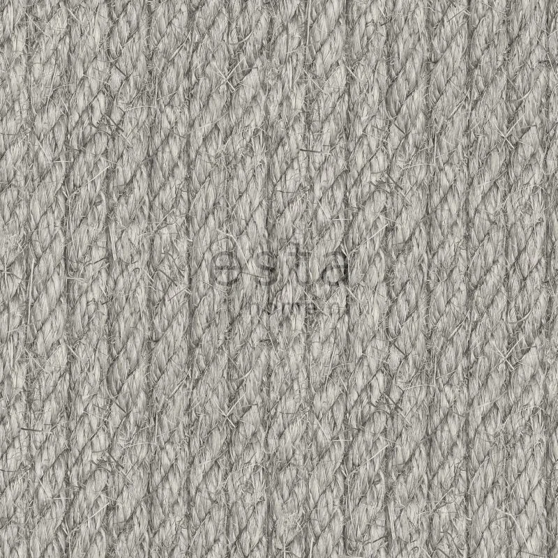 netrauta-1202609161206392188677
