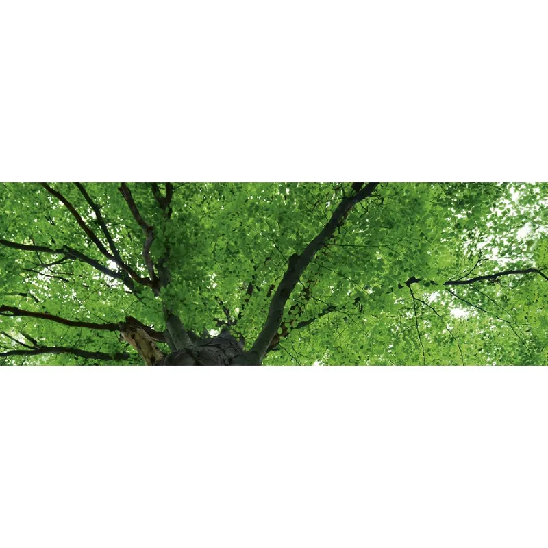 netrauta-1202609191944172807019