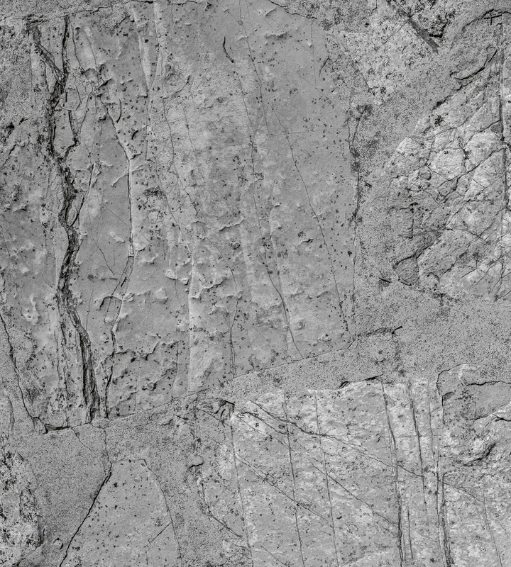 netrauta-1202609192126532833349