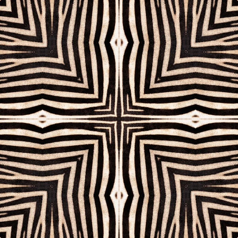 netrauta-2202609140827561915323