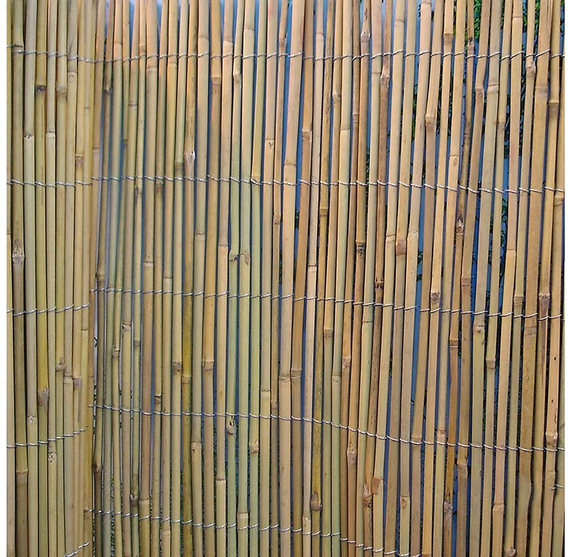 netrauta-2202609150047012024459