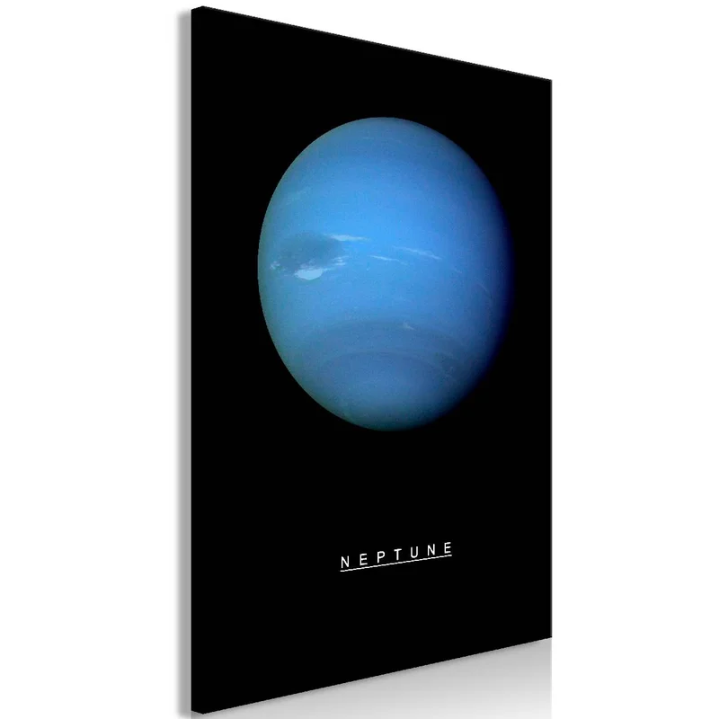 netrauta-2202609161004412179447