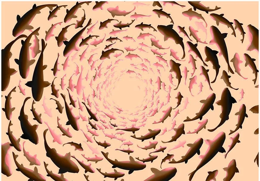 netrauta-2202609170529532304201
