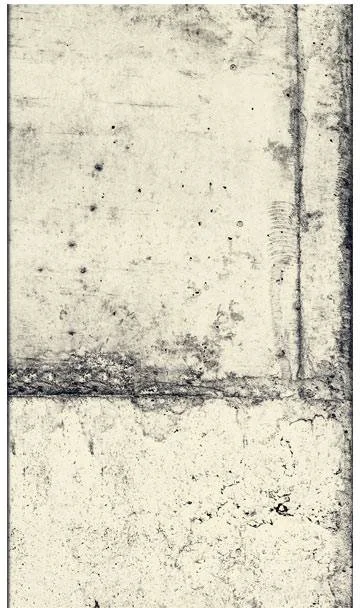netrauta-2202609170945582328617