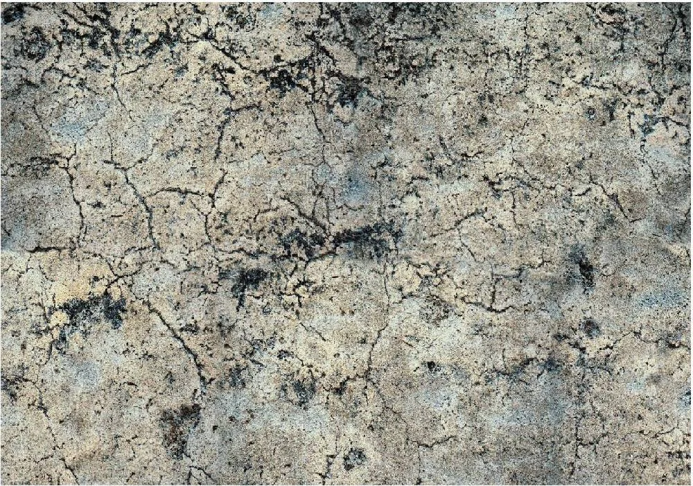 netrauta-2202609171746422374132