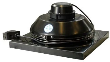 netrauta-2202609202232333044241
