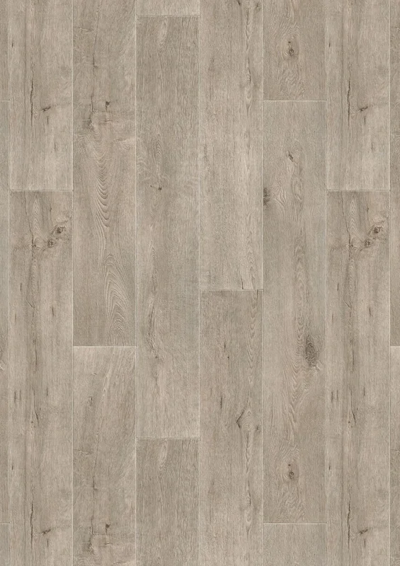 netrauta-3202609141018181929971