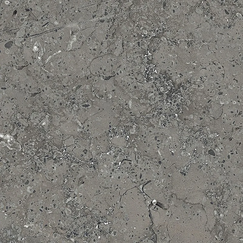 netrauta-3202609211413333146132